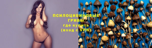 молекула духа Абинск