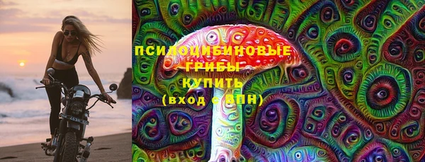 молекула духа Абинск