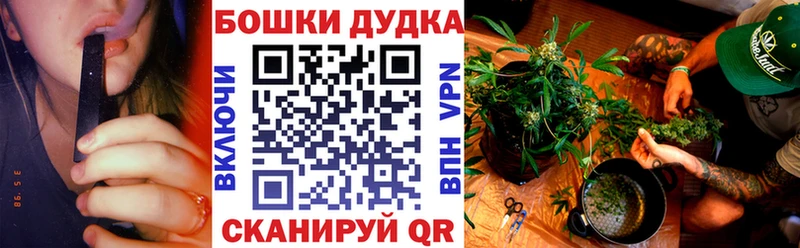 продажа наркотиков Судогда Конопля планчик